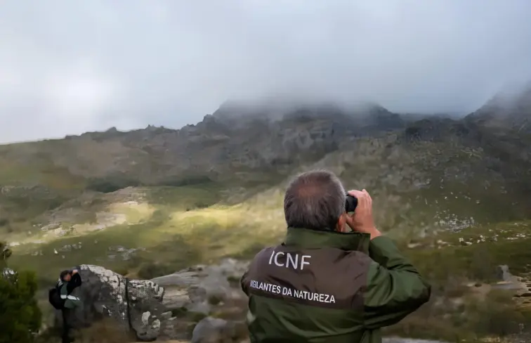 Vigilante a observar zona montanhosa